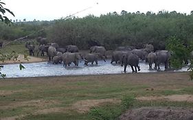 Africa Safari Camp